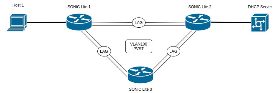 SONiC Lite instruction