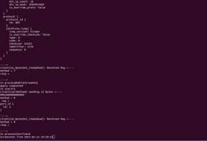 Intel DPDK Screenshot